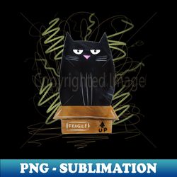 black cat sits in a cardboard box - decorative sublimation png file - perfect for sublimation mastery