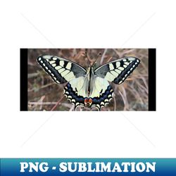 Butterfly - Instant PNG Sublimation Download - Enhance Your Apparel with Stunning Detail