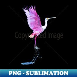 serenity in flight rosette spoonbill graphic print captivating nature art for your space - instant sublimation digital d