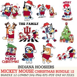 Illinois Fighting Illini bundle 12 zip Bluey Christmas Cut files,for Cricut,SVG EPS PNG DXF,instant download