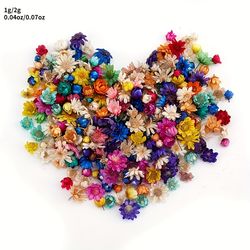 100/200pcs, Epoxy Resin Candle Making and DIY Jewelry Supplies - Dried Flowers for Home and Holiday Decor  flores secas