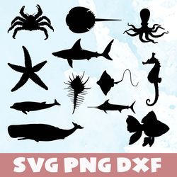 Aquatic animals svg,png,dxf,Aquatic animals svg bundle,png,dxf,Vinyl Cut File, Png, Ai Printable Design File