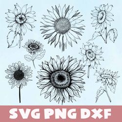 Sunflower vg,png,dxf, Sunflower bundle svg,png,dxf,Vinyl Cut File, Png, cricut