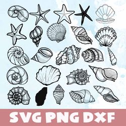 Seashell svg,png,dxf, Seashell bundle svg, png,dxf,Vinyl Cut File,Png, cricut