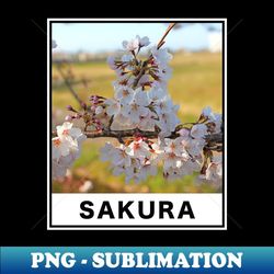 beautiful cherry blossoms floral photography - exclusive sublimation digital file