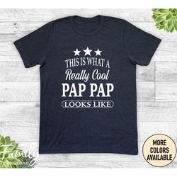 This Is What A Really Cool Pap Pap Looks Like, Unisex Shirt, Pap Pap Shirt, Gift For Pap Pap, Father's Day Gift
