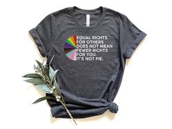 Equal Rights For Others Doesn't Mean Fewer Rights For You Shirt, Pride Shirt, It's Not Pie Shirt, LGBTQ Shirt, Lesbian S