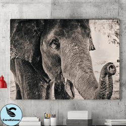 animal elephant canvas wall decor, canvas wall art, wild animal painting, elephant photo prints, elephant wall art, livi