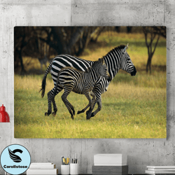 Zebra Mother And Baby Canvas Wall Art Painting, Wildlife Canvas Art, Zebra Wall Art, Canvas Wall Decoration, Wall Art, H