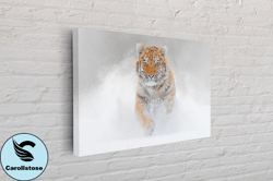 snow tiger print on canvas, tiger canvas, tiger painting, tiger print, canvas wall art canvas design, home decor ready t