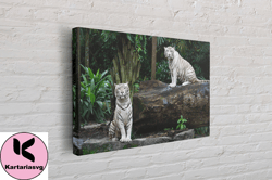 two white tigers, tiger canvas, tiger painting, tiger print, canvas wall art canvas design, home decor ready to hang