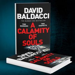 A Calamity of Souls by David Baldacci