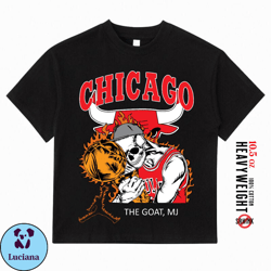 Oversized TShirts  Chicago City Basketball Michael Jordan The Goat  Vintage Bulls Inspired Best Quality Heavyweight Shir