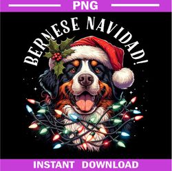Bernese Mountain Dog, Funny Bernese Navidad Berner PNG Download