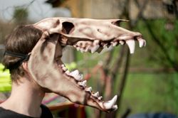 Wendigo Mask Full Face, Lightweight 3d Printed Horror Mask, Realistic Animal Skull Mask