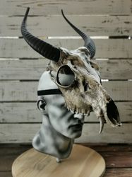 Helmet (crown) deer skull on the head, musk deer skull, fantasy mask, cosplay mask, Macabre Mask, Horror Mask