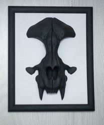 Wall-Mounted Sculpture with cat skull, framed skull, black and white minimalism, wall sculpture, Frame art, Faux Cat Sku