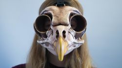 owl bird skull mask, steampunk mask, raven mask, macabre mask, halloween mask, plague doctor, cosplay prop, bone props