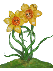 Still Daffy for you, Daffodil Day Cancer Society Fundraiser.