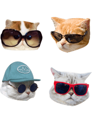 YUMMY BURGERCats With Glasses s Pack