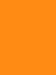 Regular Orange Graphic