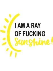 I am a Ray of fucking SUNSHINE (3)