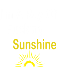 I Am A Ray Of Fucking SunshineSunshinet, Funny gift, birthday gift