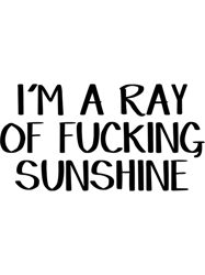 Im a ray of fucking sunshine (1)