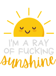 Im a ray of fucking sunshine 6