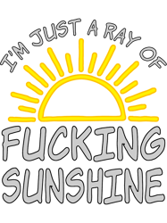 Im Just A Ray Of Fucking Sunshine Funny Sarcastic Attitude(4)