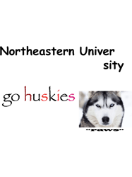 Northeastern HuskiesPremium