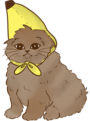Banana Hat Cat