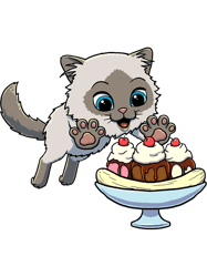 Himalayan Cat excited to eat a Banana Split