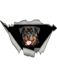 rottweilercute giftrottweiler for mom,dad,women and men