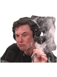 Elon Musk Smoke