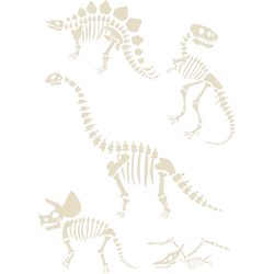 Diosaur Fossils in Black