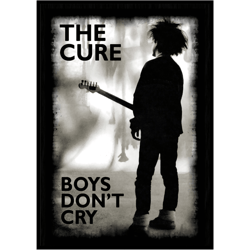 the boys cure dont cry