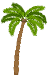 Coconut tree PNG Transparent Images, Disney Moana PNG, Clipart, Disney Princess PNG, Digital download-5