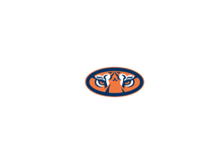 Auburn Tigers Svg, Auburn Tigers logo Svg, NCAA Svg, Sport Svg, Football team Svg, Digital download-8