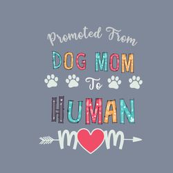 Promoted From Dog Mom To Human Mom Svg, Mother's Day Svg, Mom Svg, Mom Shirt Svg, Mom Life Svg, Digital Download