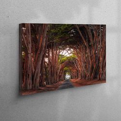 California Cypress Tree Tunnel Poster, Cypress Tree Tunnel Canvas, Tree Path Canvas Art, Gift For The Home, Framed Canva