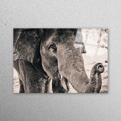 glass wall art, mural art, glass art, elephant photo print, old elephant wall art, wildlife elephant glass art, elephant
