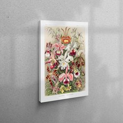 canvas home decor, canvas gift, living room wall art, ernst haeckel, famous poster, floral canvas poster, flower canvas