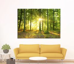 sunlight forest trees sunset boxed framed canvas art - nature canvas wall art