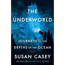 The Underworld Journeys to the Depths of the Ocean by Susan Case Ebook pdf