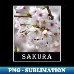 beautiful sakura flower photography - decorative sublimation png file