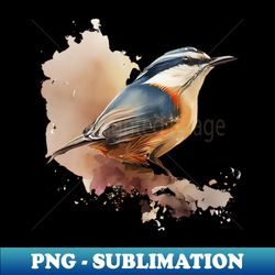 nuthatch bird on a tree branch 40 - png transparent digital download file for sublimation - create with confidence