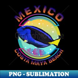 mexico costa maya beach regal blue tang marine aquarium fish - trendy sublimation digital download - vibrant and eye-catching typography