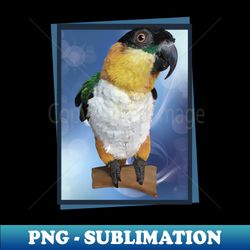 caique - Instant PNG Sublimation Download - Add a Festive Touch to Every Day