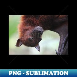 Fruit Bat - High-Resolution PNG Sublimation File - Fashionable and Fearless